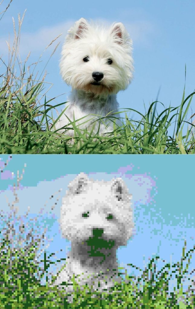 Picture to Pixel Example