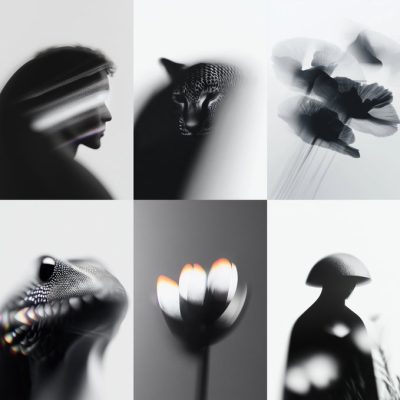 Minimalist Monochrome Visions